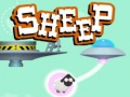 Jwèt Sheep