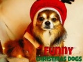 Jwèt Funny Christmas Dogs