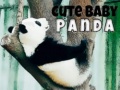 Jwèt Cute Baby Panda