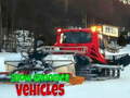 Jwèt Snow Groomer Vehicles