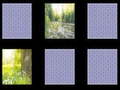 Jwèt Nature Memory
