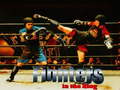 Jwèt Fighters in the Ring