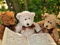 Jwèt Cuddly Three Teddy Jigsaw