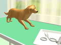 Jwèt Paw Care