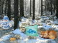 Jwèt Winter Wonderland Forest Adventure