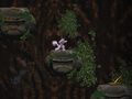 Jwèt Cave Descent