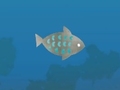 Jwèt Fish Companions