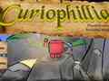 Jwèt Сuriophillia