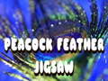 Jwèt Peacock Feather Jigsaw