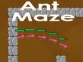 Jwèt Ant maze