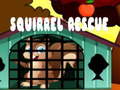 Jwèt Squirrel Rescue