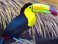 Jwèt Toucan Bird Jigsaw