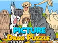 Jwèt Picture Drag Puzzle