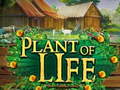 Jwèt Plant of Life