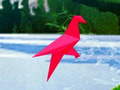 Jwèt Bird Shooting