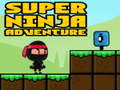 Jwèt Super Adventure Ninja