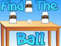 Jwèt Find The Ball