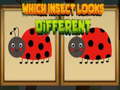Jwèt Which Insect Looks Different