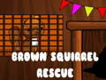 Jwèt Brown Squirrel Rescue