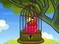 Jwèt Red Parrot Rescue