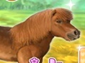 Jwèt My Dear Pony