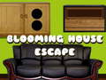 Jwèt Blooming House Escape