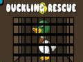 Jwèt Duckling Rescue
