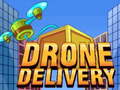 Jwèt Drone Delivery