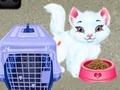 Jwèt Baby Taylor Pet Care