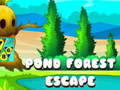 Jwèt Pond Forest Escape