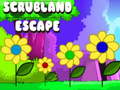 Jwèt Scrubland Escape