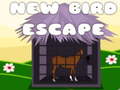Jwèt Horse escape
