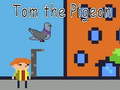 Jwèt Tom the Pigeon