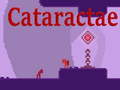 Jwèt Cataractae