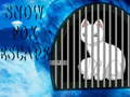Jwèt Snow Fox Escape