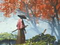 Jwèt Samurai Reflexion