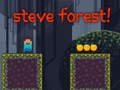 Jwèt Steve Forest