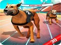Jwèt Crazy Dog Race