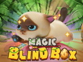 Jwèt Magic Blind Box