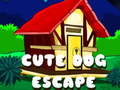 Jwèt Cute Dog Escape