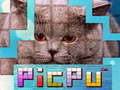 Jwèt PicPu Cat 