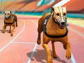 Jwèt Dogs3D Races