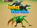 Jwèt Insect Evolution
