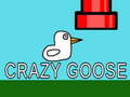 Jwèt Crazy Goose