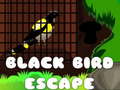 Jwèt Black Bird Escape
