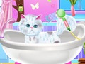 Jwèt Excellent Pet Groomer
