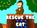 Jwèt Rescue The Cat