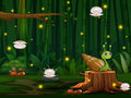 Jwèt Snail Run