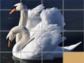 Jwèt Animals Slide Puzzle