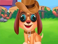 Jwèt Stray Puppy Pet Care